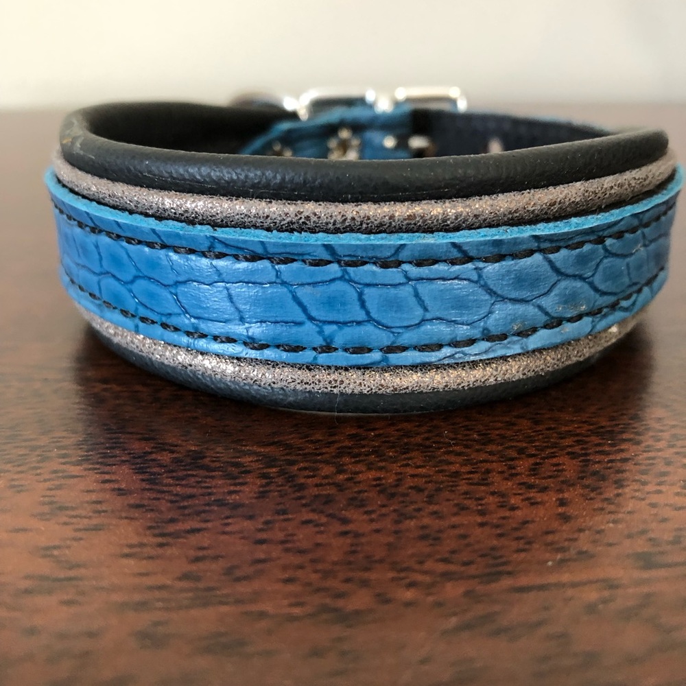 Leather padded dog collar